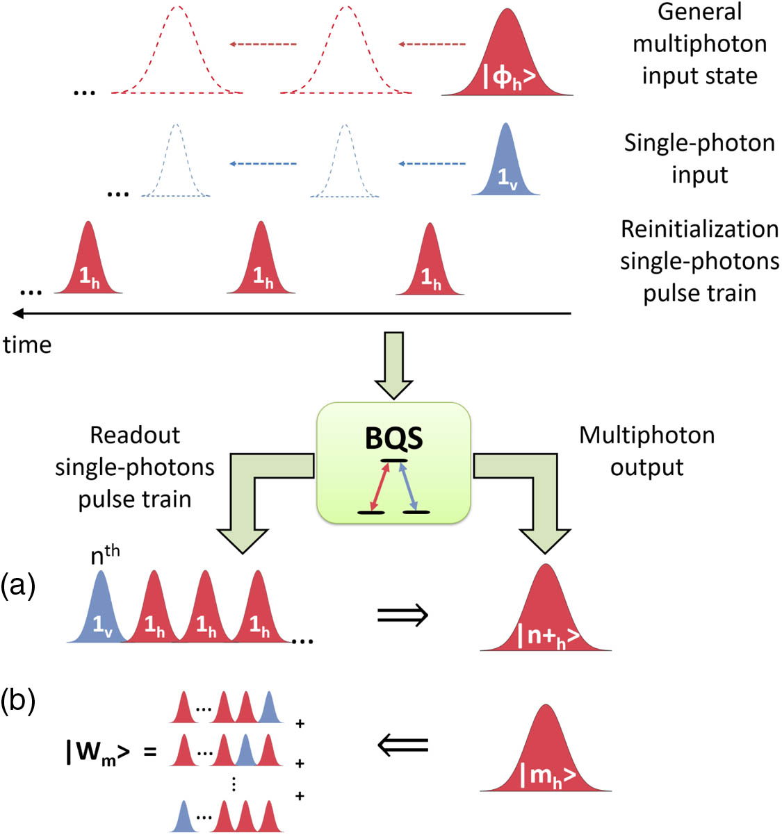 Bright quantum scissors (BQS) multi-step protocol. The protocol uses three input channels: a general H-polarized multi-photon quantum state, a V-polarized single photon, and a train of H-polarized single photons. The multi-photon pulse and the V-polarized single-photon pulse interact with the Λ system simultaneously and the resulting pulses are fed back to the system repeatedly. The H-polarized single-photon pulses are interleaved with the multi-photon pulse evolutions and reinitialize the state of the Λ system at every iteration. At the output channels of the protocol we get a train of readout single-photon pulses and a modified multi-photon state. (a) Heralded on the measurement of the nth readout photon in the V-mode, the nth-order BQS operation is applied on the input quantum state. This ensures the presence of more than n photons in the multi-photon output. For n=1, the operation amounts to a realization of the inverse annihilation. (b) Conversely, when choosing to herald on the number of photons in the multi-photon output pulse, a polarization W state manifests in the readout single-photons pulse train.