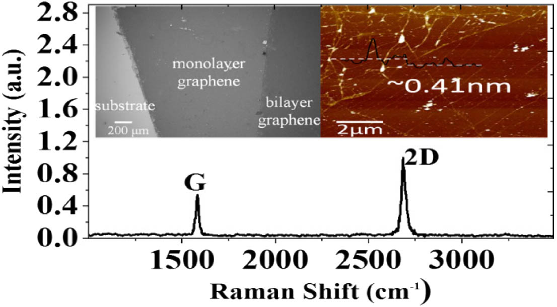 Raman spectrum of the graphene excited by a 488 nm laser. Inset: SEM (left) and AFM (right) images of the CVD graphene.