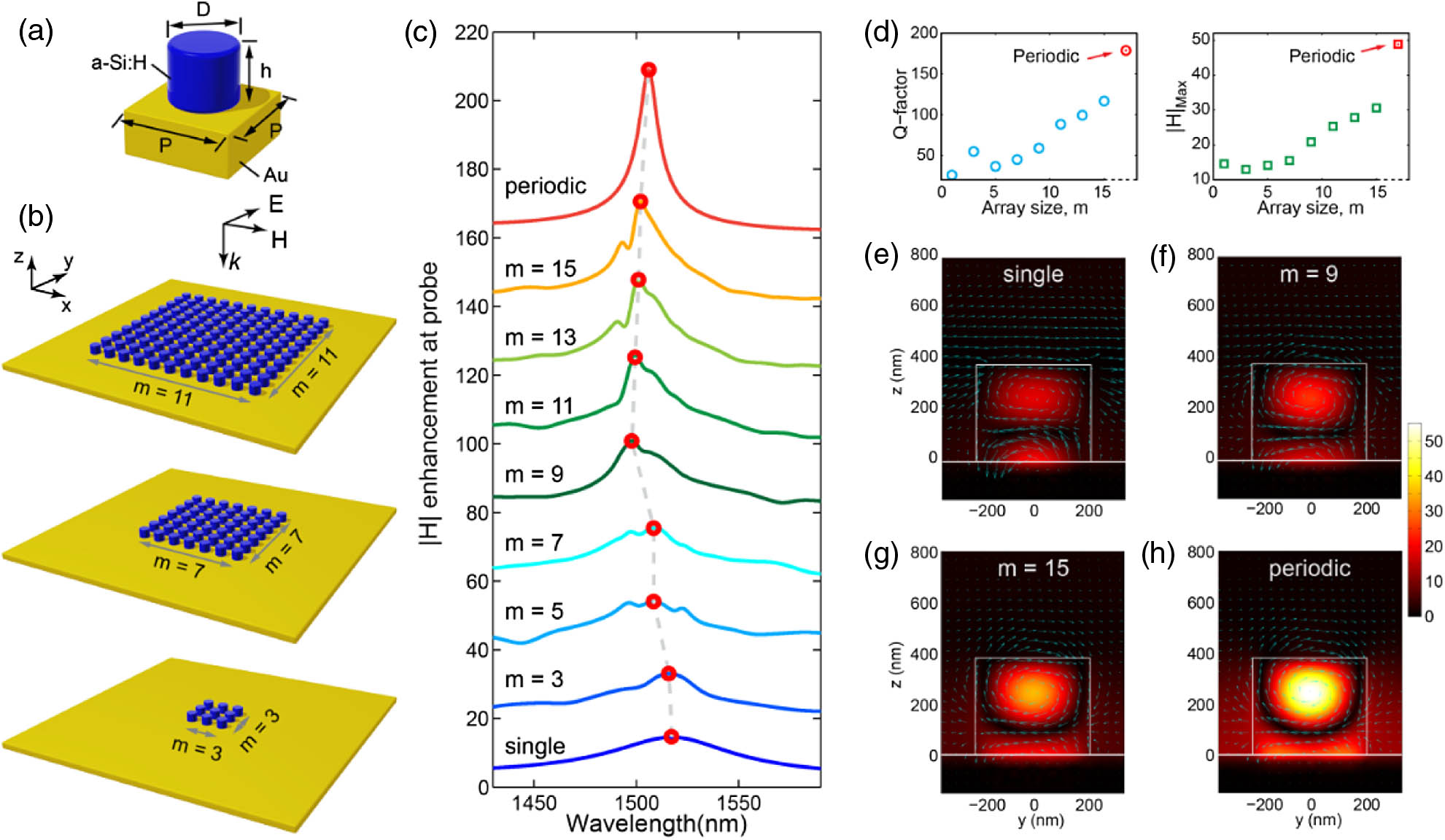 Meta-optics based on Si resonators on a plasmonic substrate. (a) Illustration of a unit cell of the metasurface consisting of an array of a-Si:H nanodisks on top of an optically thick Au ground plane. Geometrical parameters: P=720 nm, D=450 nm, and h=385 nm. (b) Schematic of the proposed meta-optical systems with finite array size, in which square arrays having m×ma-Si:H nanodisk elements are located on top of an infinite Au substrate. (c) Calculated magnetic field (|H|) obtained from a magnetic probe located at the center of the central resonator for a series of array sizes used in numerical simulations. The gray dashed line is used to guide the eye. (d) Q-factor and the maximum enhancement factor |H|max as functions of the array size. The corresponding values in the periodic case are illustrated as well. (e)–(h) Calculated magnetic field and electric field vector distribution in the y–z plane, in the case of m=1, 9, and 15 as well as the periodic structure at the peak frequency identified in (c).