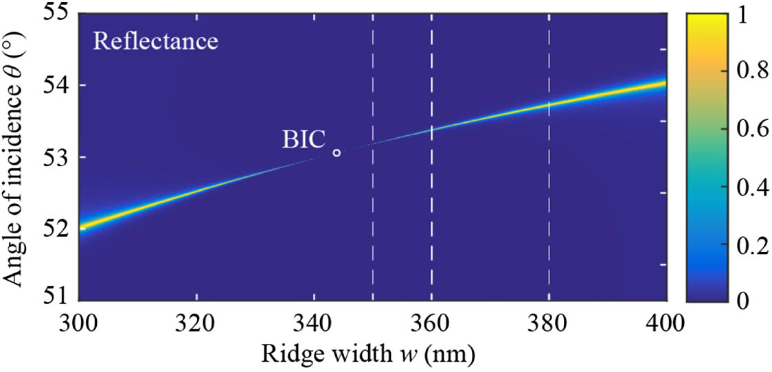 Reflectance of an obliquely incident TE-polarized guided mode with free-space wavelength λ0=630 nm from the ridge versus ridge width w and angle of incidence θ. The white circle indicates the BIC position. White dashed lines indicate the ridge widths, at which the angular spectra in Fig. 3(a) are plotted.