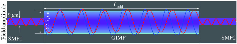 Schematic structure of SMF–GIMF–SMF. Blue and red lines denote light under a linear (low power) and a nonlinear (high power) case, respectively.