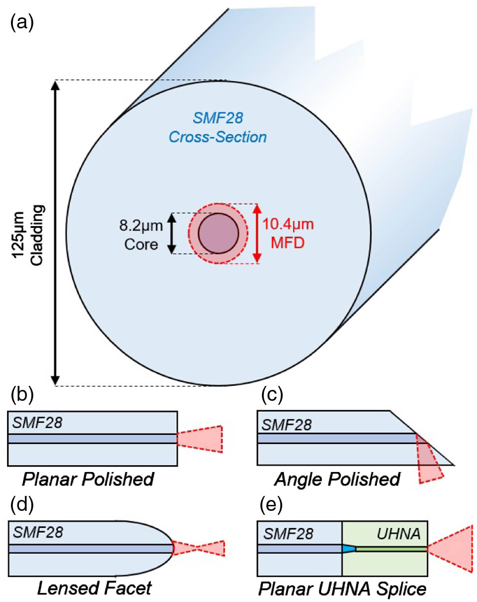 (a) Cross-section schematic of an SMF28 fiber, showing the 8.2 μm fiber core centered in the cladding layer, wave-guiding the 10.4 μm MFD 1.55 μm mode. Side view schematics of (b) planar polished, (c) angle polished, and (d) lensed SMF28. (e) Schematic of UHNA-to-SMF28 splicing, showing the thermally expanded adiabatic taper. The (b), (d), and (e) geometries are commonly used for edge coupling, while the (c) geometry is preferred for grating coupling.