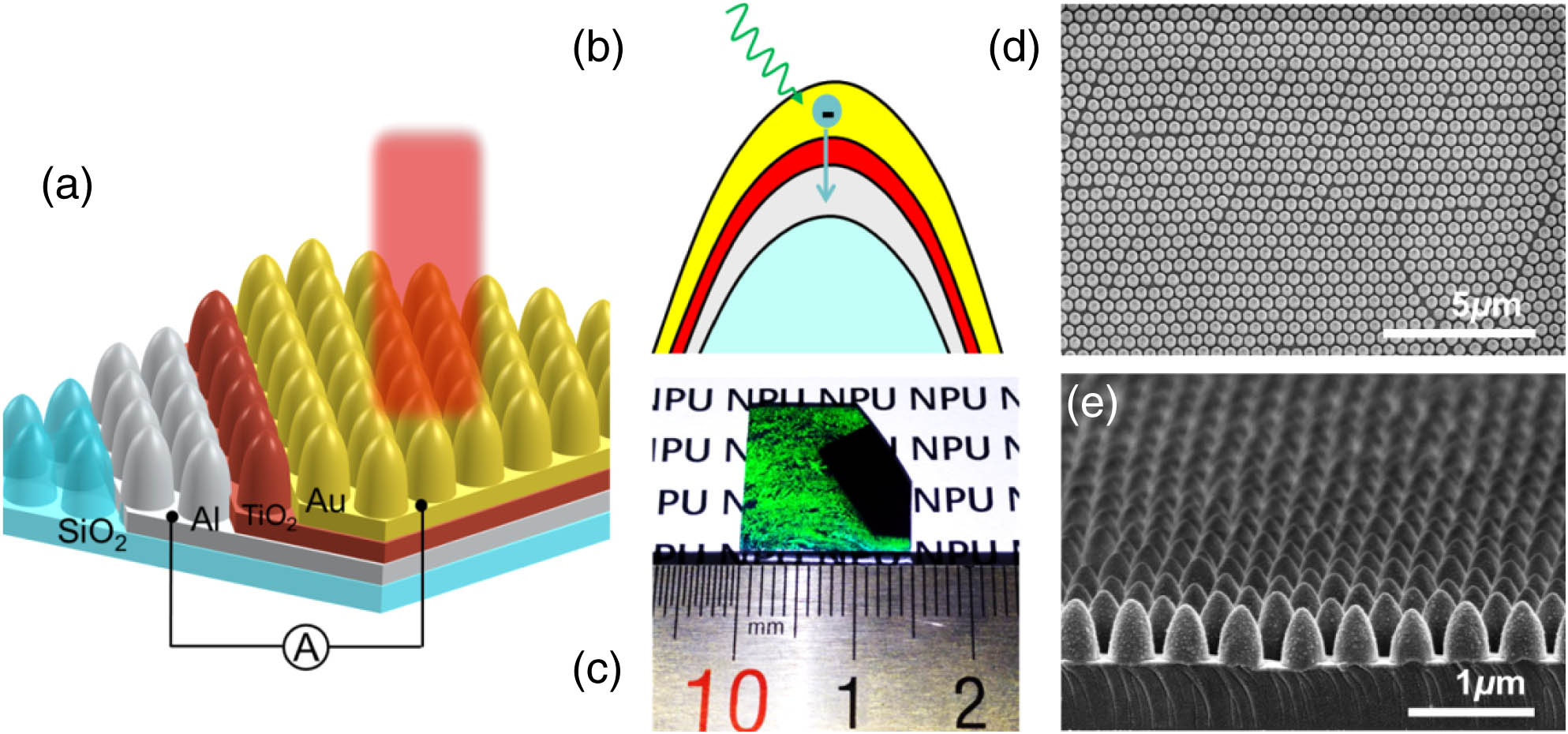 Device architecture and principle of operation. (a) Representation of the NCA photodetector. Light impinges on the top Au film, exciting hot electrons through SP generation. The color of the cones corresponds to the layer with the same color shown in (b). (b) Transport process of hot electrons. (c) Etched silicon dioxide with a 400 nm PS nanosphere mask on a 1.5 cm×1.5 cm sample. The green color is due to the reflected light from the nanostructured surface, whereas the dark area is the unetched silicon oxide. (d) Top view and (e) cross-sectional SEM image of the final device.