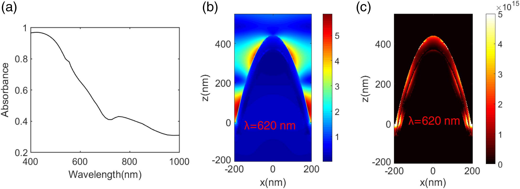 (a) Calculated absorbance spectrum in the 400–1000 nm range. (b) Simulated electric-field intensity distribution at the cross-section at the wavelength of 620 nm. (c) Distribution of dissipative energy density at the wavelength of 620 nm, showing strong absorption along the sidewall.