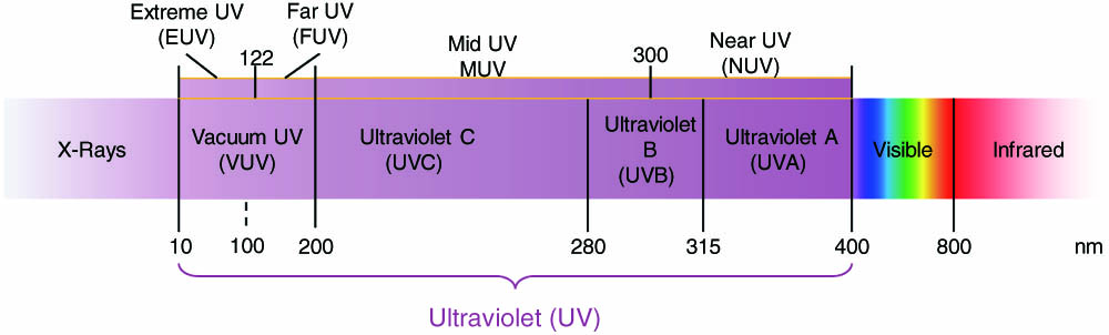 UV spectral region and its subdivisions.