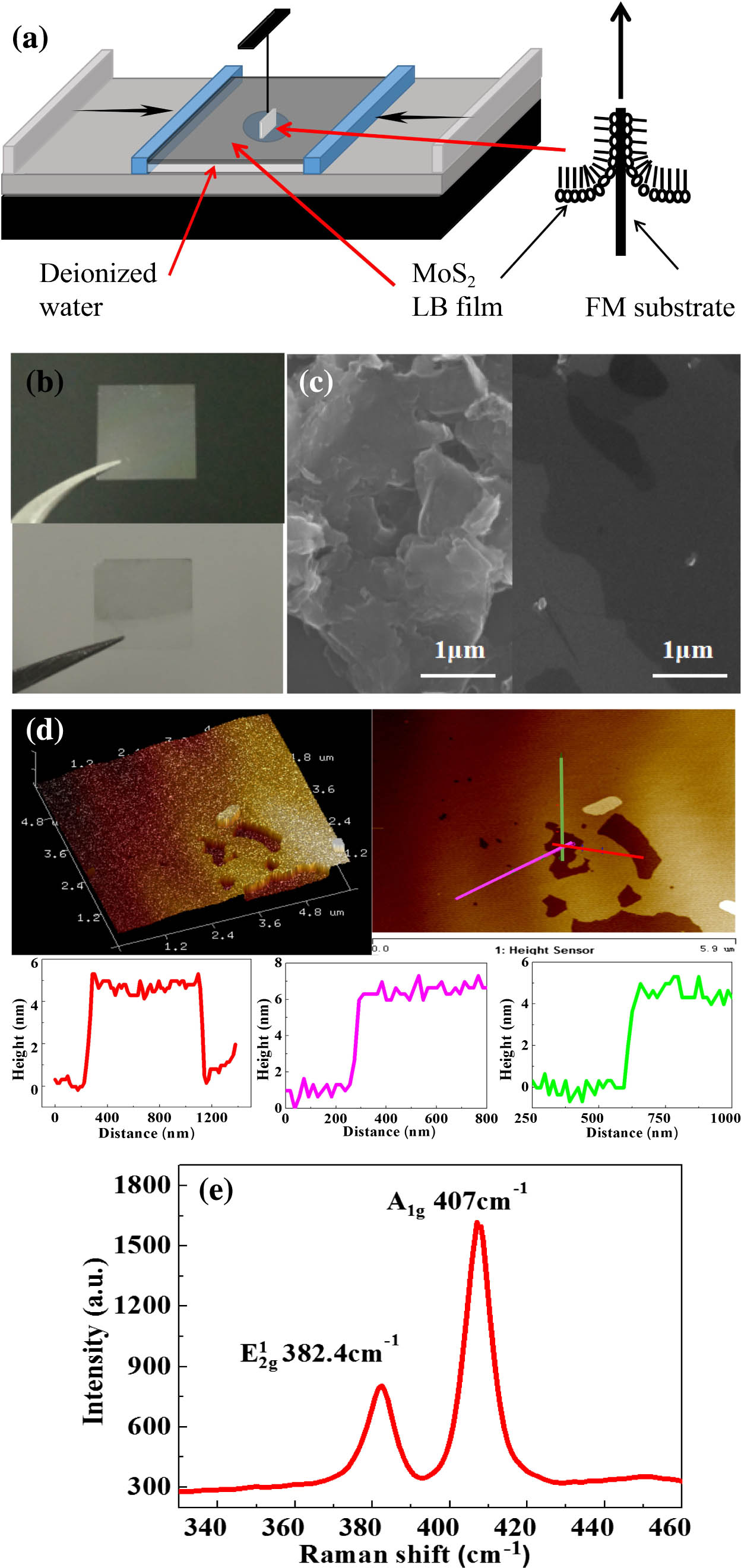 (a) Fabrication process of SA devices. (b) Macroscopic images of FM and MoS2/FM. (c) SEM image of a MoS2 SA by the spin-coating and LB methods at the same resolutions. (d) 3D and plane AFM image and the AFM height profile diagram of few-layer MoS2. (e) Raman spectrum of the MoS2 SA.
