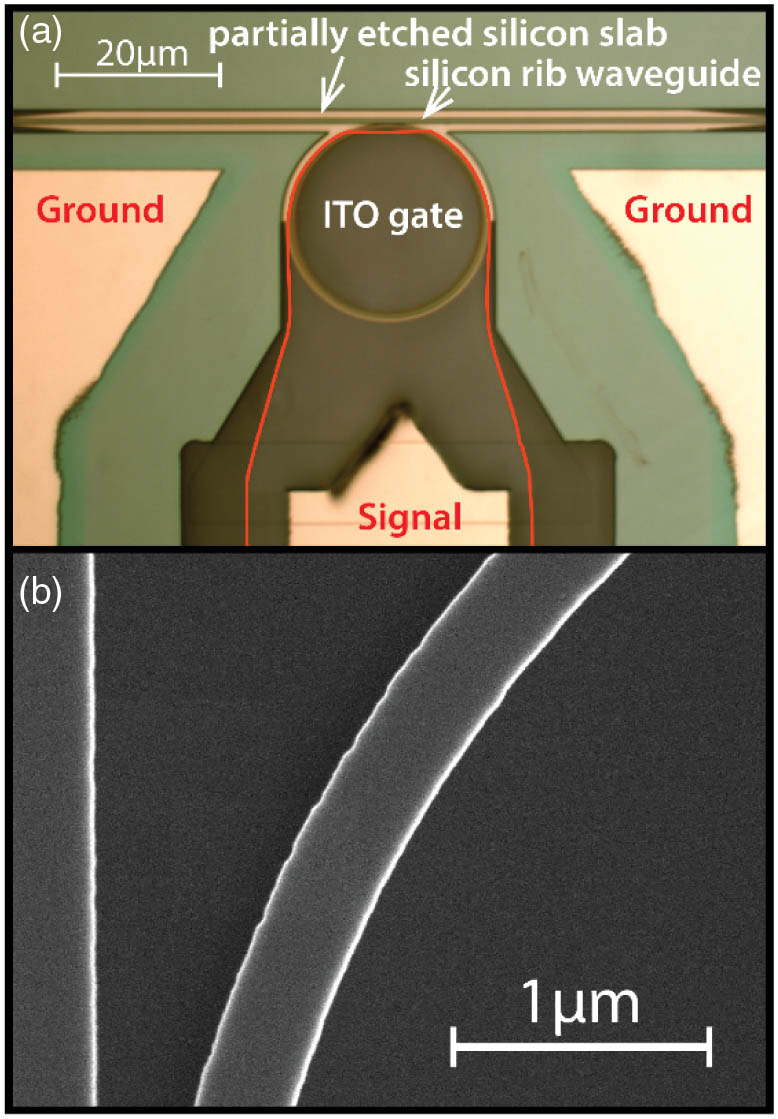 (a) Optical image of a fabricated tunable microring filter with a radius of 12 μm. The ITO gate (highlighted by a red line) covers the majority of the microring except the coupling region. The ground electrodes are connected to the silicon ring through a partially etched silicon slab. (b) Scanning electron micrograph (SEM) of the fabricated silicon microring, showing side-wall roughness after the RIE process.
