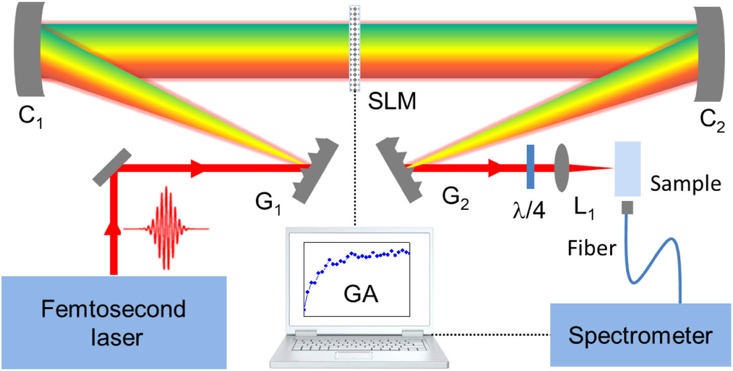 Schematic of the experimental setup. G1 and G2 are two diffraction gratings of 1200 lines/mm each. C1 and C2 are two cylindrical concave mirrors each of focus length 200 mm. SLM, spatial light modulator; λ/4, quarter-wave plate; L1, focusing lens; GA, genetic algorithm.