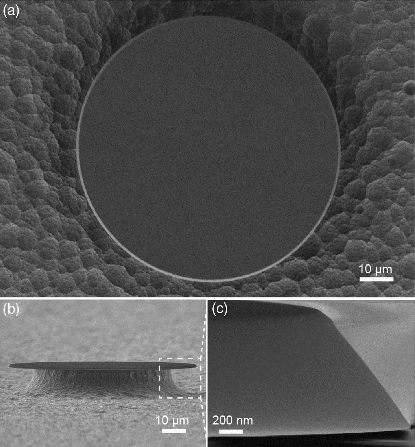 SEM images of the large-wedge-angle microdisk resonator used in our experiment. (a), (b) Full-scale view of the microresonator. (c) Close-up of the microresonator to show the detailed characteristics of the large wedge angle.