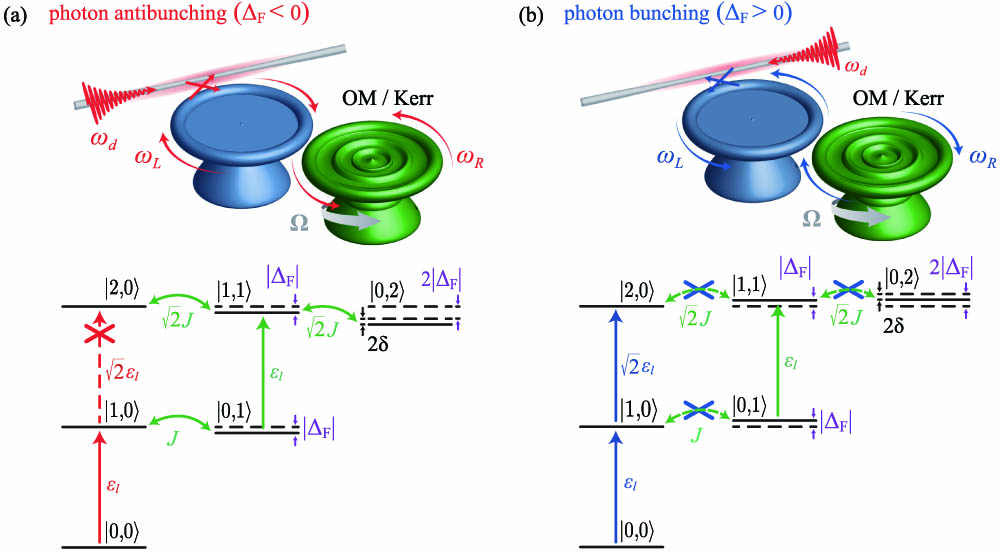 Nonreciprocal UPB in a coupled-resonator system. Spinning the OM (Kerr-type) resonator results in different Fizeau drag ΔF for the counter-circulating whispering-gallery modes of the resonator. (a) By driving the system from the left-hand side, the direct excitation from state |1,0⟩ to state |2,0⟩ (red dotted arrow) will be forbidden by destructive quantum interference with the other paths drawn by green arrows, leading to photon antibunching. (b) Photon bunching occurs when the system is driven from the right side, due to lack of complete destructive quantum interference between the indicated levels (drawn by crossed green dotted arrows). Here, δ=g2/ωm is the energy shift induced by the OM nonlinearity.
