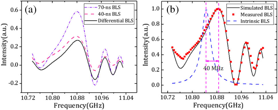 (a) BLSs obtained from a 70 ns pulse (purple short dash–dot) and a 40 ns pulse (pink dashed line), resulting in the differential BLS (black line). (b) Simulated differential BLS (black line), measured differential BLS (red dots), and intrinsic BLS (blue dashed line) based on the DPP technique.