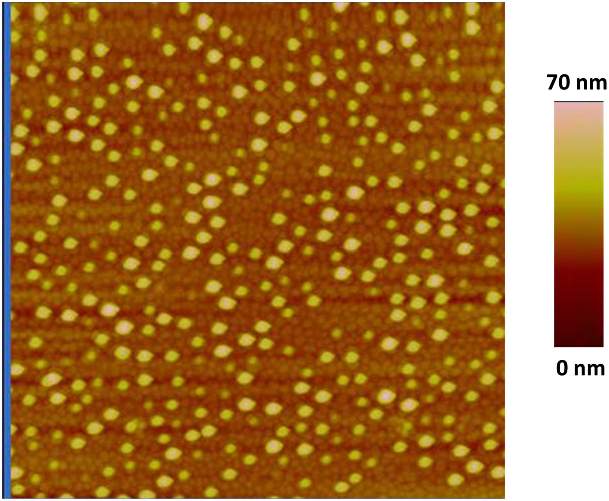 AFM image of GaN nanodots after size reduction and prior to AlGaN barrier overgrowth. The image size is 2 μm×2 μm.