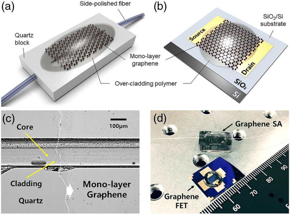 (a) Schematic of the graphene SA with a UV-cured polymer over-cladding on the monolayer graphene sheet and (b) back-gated graphene FET including the over-cladding. (c) Optical microscope image of the graphene SA at the edge of interaction region. (d) Photo of the devices.