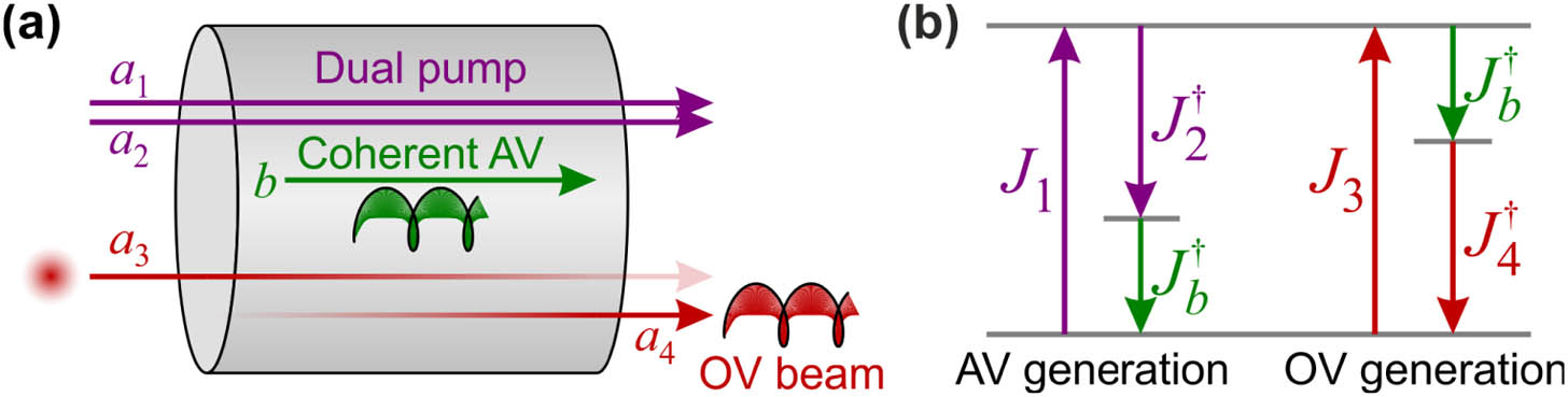 (a) Schematic diagram of optical vortex (OV) generation based on forward stimulated intermodal Brillouin scattering. A circularly polarized fundamental mode (a1) and a higher-order hybrid mode (a2) drive a coherent acoustic vortex (AV) (b), which in turn transforms the incident signal (a3) in the circularly polarized fundamental mode into the OV beam (a4). (b) Vector diagram describing the angular momentum conservation in this process.