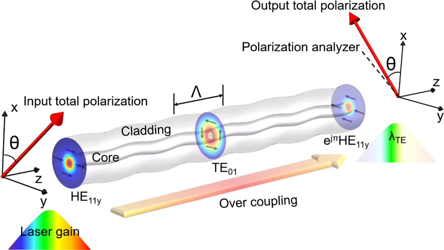 Laser polarization conversions of core vector modes. Laser mode over-coupling process is induced by the AOI between the core vector mode HE11y and cladding vector mode TE01, and Λ is the grating period.