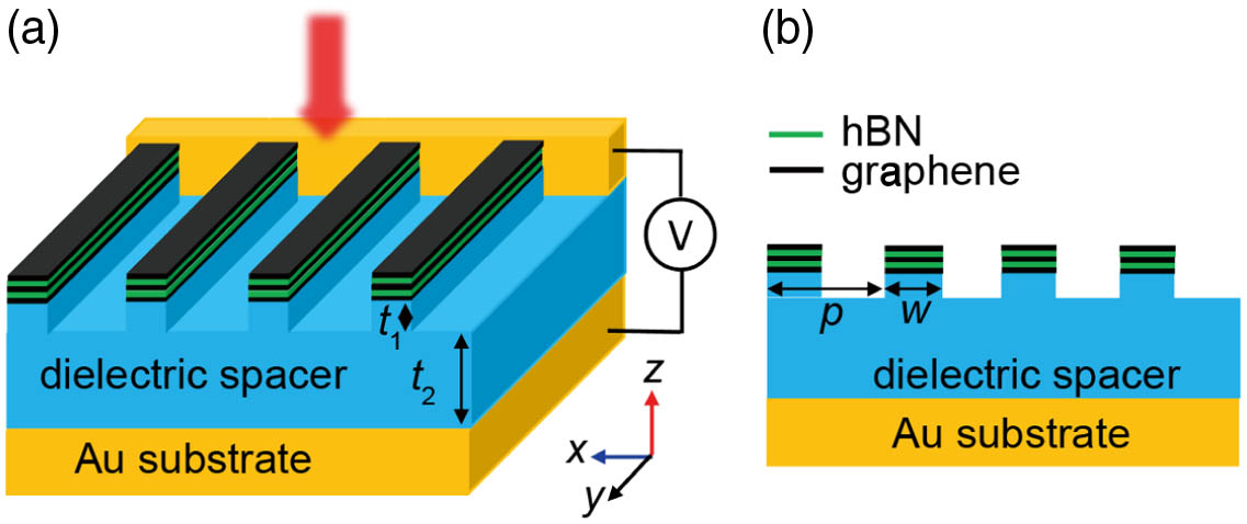 Schematics of the proposed device. (a) The G3BN2 ribbon array on top of dielectric ribbons is separated from the Au substrate by a dielectric spacer (t1=30 nm and t2=322 nm). (b) The cross-sectional view of the sensor in the x–z-plane, with a period p=160 nm and width w=80 nm.