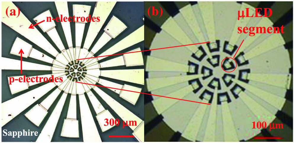 (a) Plan view optical image of the fabricated UV-C μLED array presented in this work and (b) a high-magnification image of the μLEDs.