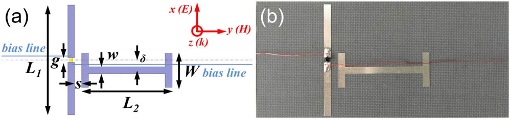 (a) Schematic and (b) photograph of the symmetry-broken metasurface. The metallic pattern is copper with a conductivity of 5.8×107 S/m, and its depth is 0.035 mm. The 72.14 mm×34.04 mm×1.0 mm-substrate is Teflon with a relative permittivity of 2.65 and a loss tangent of 4×10−4. The geometric parameters of the metasurface are as follows: L1=32 mm, L2=26 mm, w=2 mm, g=1.3 mm, δ=3 mm, W=10 mm, and s=2 mm. A PIN diode is located at the center of the vertical wire. Two bias copper wires indicated by sky blue lines have a diameter of 0.1 mm.