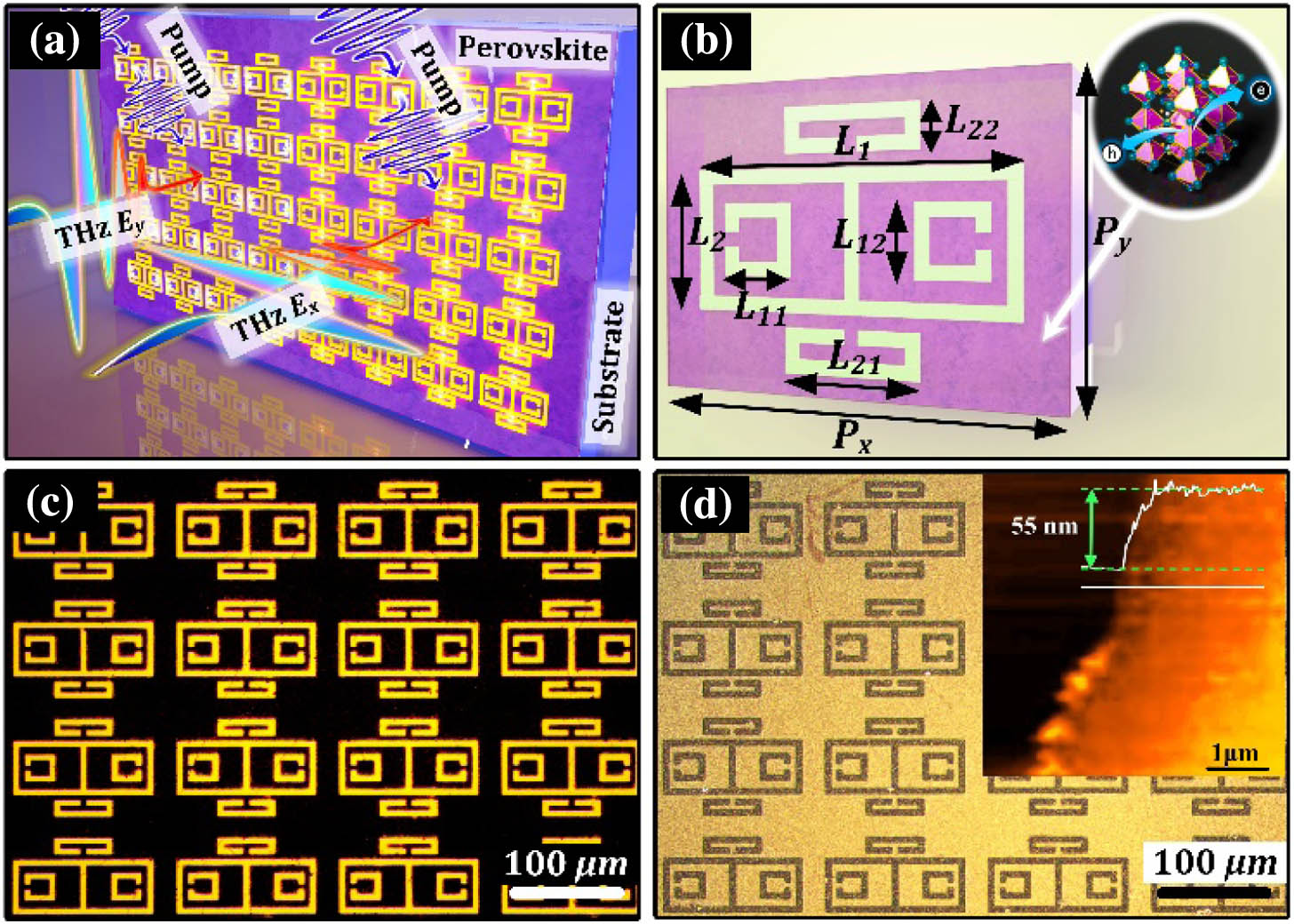 (a) Schematic of the polarization-dependent metamaterial-perovskite THz device. A periodic array of CRRs and SRRs tailors the PIT resonance at different frequencies determined by incident polarizations. A thin perovskite film is deposited on the quartz substrate acting as a photoactive layer illuminated by optical pump pulses (400 nm). (b) Schematic view of the functional unit cell. The thickness of the quartz substrate is H=2 mm, the height of the Au metamaterial is h=127 nm, and the period is Px=150 μm, Py=110 μm. Geometric parameters of the structure are L1=120 μm, L2=50 μm, L11=26 μm, L12=25 μm, L21=50 μm, L22=18 μm, respectively. Inset presentation shows the crystal structure of T−CH3NH3PbI3 phases. Optical microscopic images of fabricated Au structures (c) before and (d) after covering a 55 nm perovskite thin film, where the scale bar represents 100 μm, and the inset picture shows the thickness of the perovskite film.