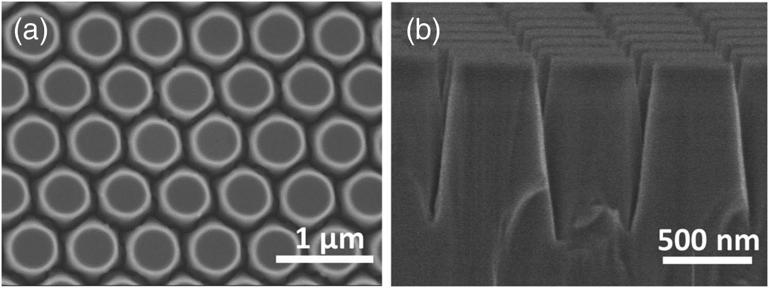 (a) Top-view and (b) cross-sectional SEM images of nanorod array structure.