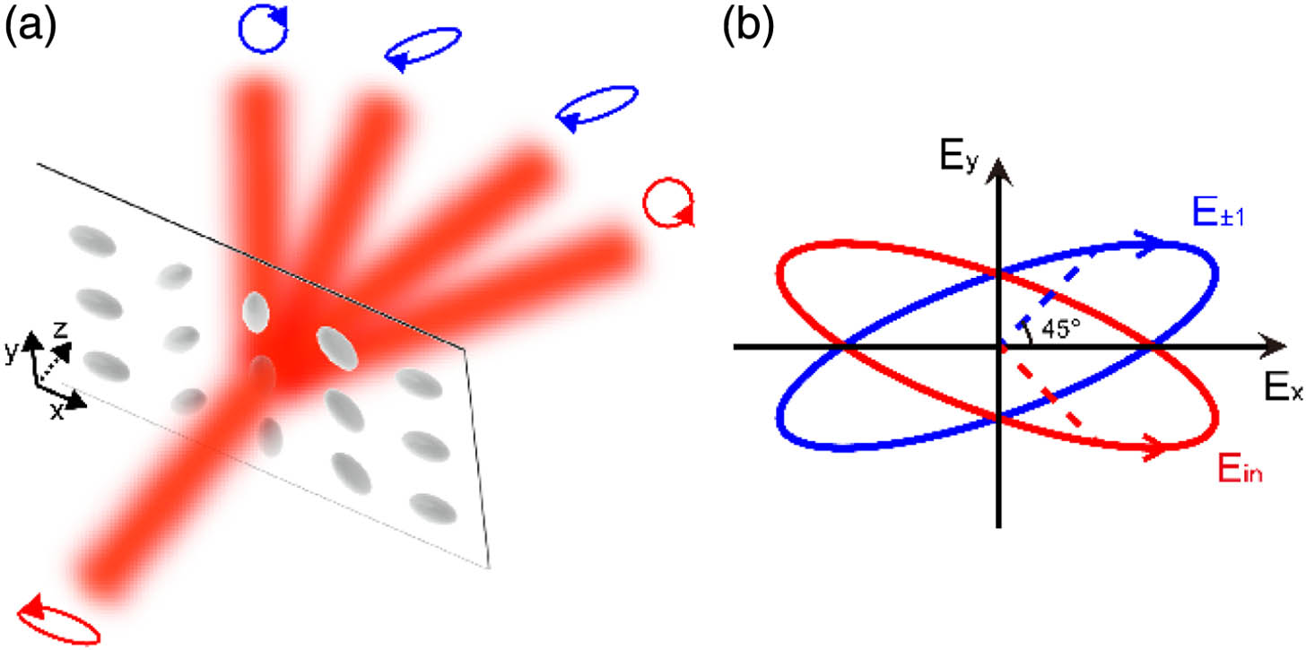 Schematic of operation principle of the GPOE for polarimetry. (a) The GPOE is designed to work as a spin sorter for high (±3) and a half-wave plate for low (±1) diffraction orders, respectively. (b) Polarization ellipses of the incident light (red) and low-order diffraction beams (blue) are mirrored with each other about the x axis. Red (blue) dashed lines indicate amplitude of field components Ev at −45° (Eu at 45°) of the incident (±1 orders) beams.