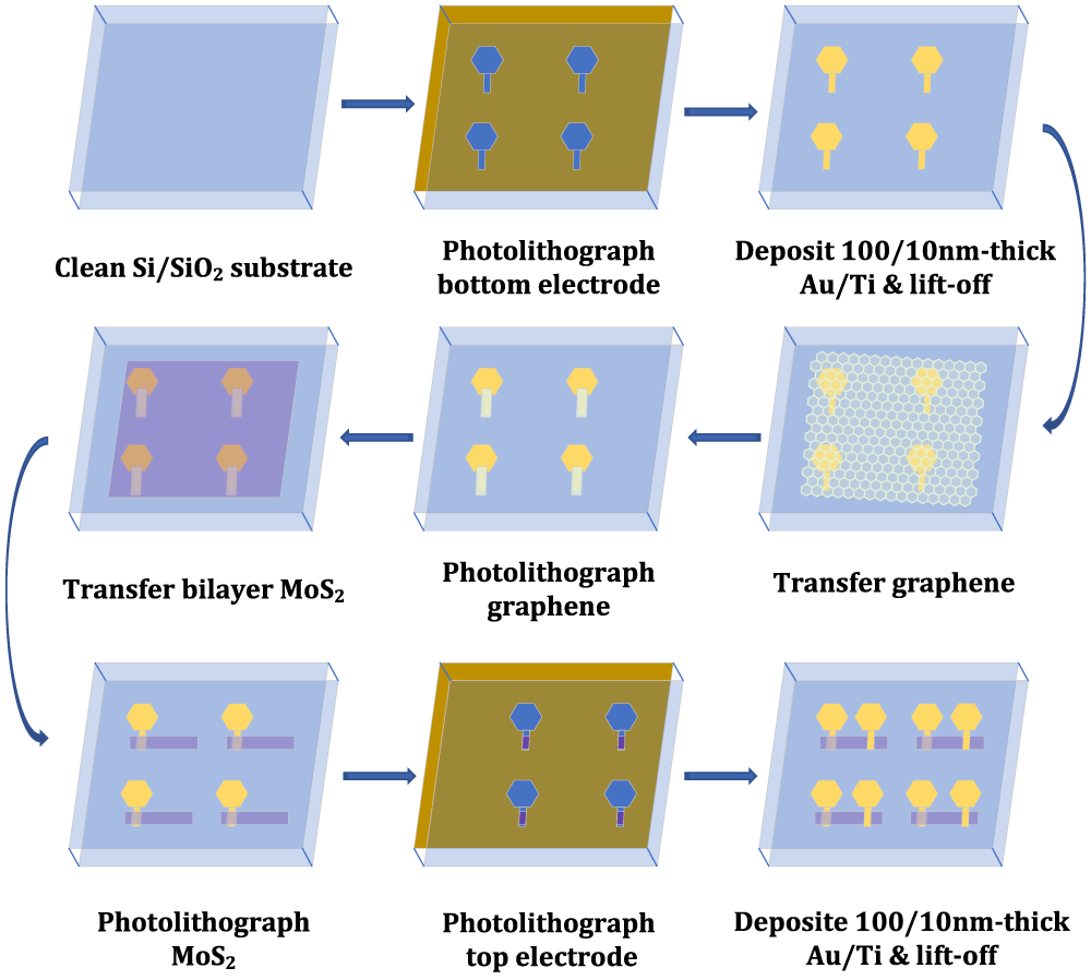 Production process of the Au/graphene/MoS2 vdWHs bipolar phototransistor.