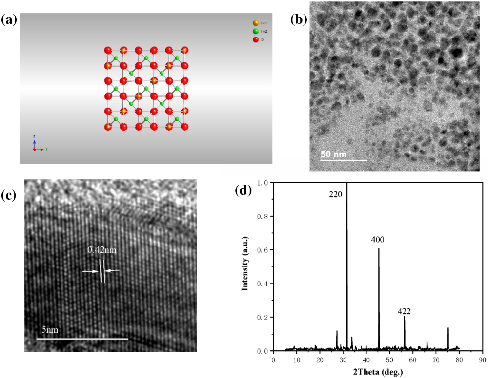Characterizations of Fe3O4 nanoparticle dispersion: (a) atomic structure, (b) TEM image with a 50 nm scale, (c) HRTEM image with a 5 nm scale, and (d) X-ray diffraction pattern.