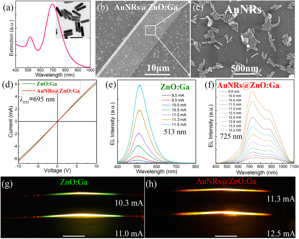 EL emission characteristics from single AuNRs@ZnO:Ga MW-based incandescent-type light source (the extinction peak of Au-nanorod, 695 nm). (a) The extinction spectrum of Au nanorods, with corresponding TEM image of the Au nanorods demonstrated in the inset. (b) SEM image of single AuNRs@ZnO:Ga MW. (c) Amplified SEM image of Au nanorods deposited on the MW. (d) I−V characteristics of single ZnO:Ga MW prepared via Au nanorods decoration. (e) EL emission spectra from single ZnO:Ga MW-based fluorescent emitter. (f) EL emission spectra from single AuNRs@ZnO:Ga MW-based incandescent-type light source. (g) Optical microscopic image of the light emitting from electrically biased single ZnO:Ga MW-based fluorescent emitter (scale bar, 200 μm). (h) Optical microscopic image of the light emitting from electrically biased single AuNRs@ZnO:Ga MW-based incandescent-type light source (scale bar, 200 μm).