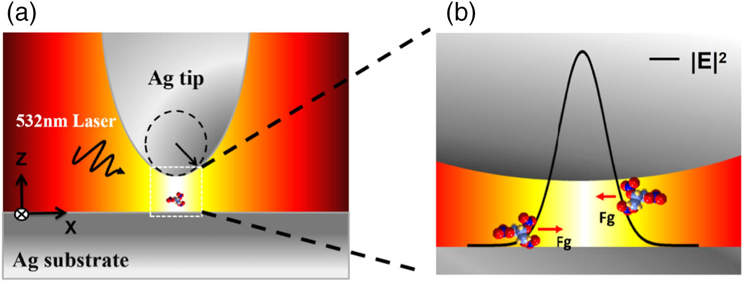 (a) Schematic diagram for a typical TERS system involving a molecule immersed within a mode that is excited by an incident p-polarized laser. (b) Schematic diagram showing the molecule affected by the gradient force coming from the highly localized and enhanced electric field hot spot within the nanogap.