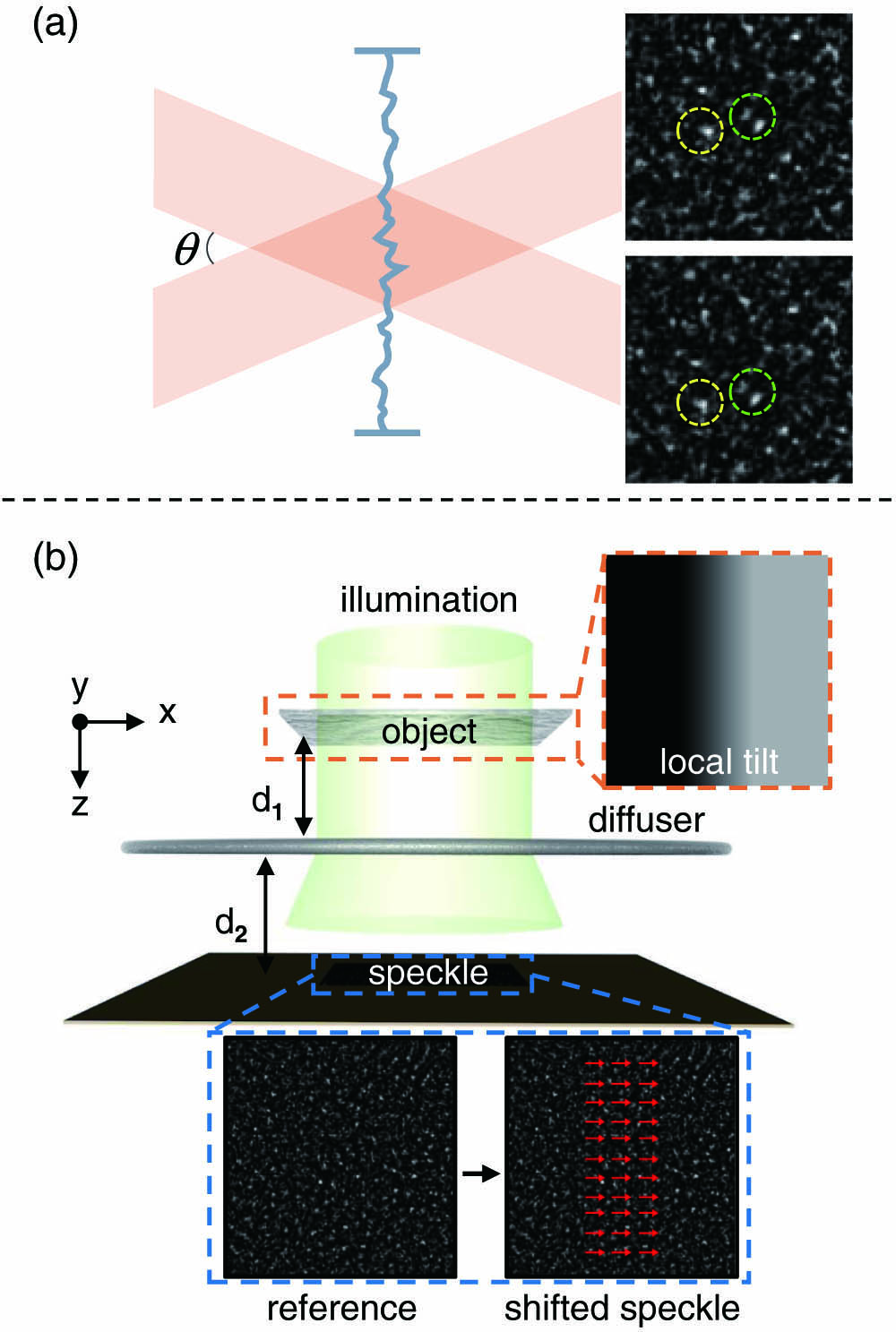 (a) Beam passes through an ideal random phase mask with negligible thickness and speckles generated by two light beams with different incident angles. The two speckle patterns show high similarity, and the speckle grains in the circles indicate the same local features. (b) Conceptual demonstration of the optical memory effect. Placing a phase object causes a local tilt of the incident light wavefront, which results in a partial translation of the speckle.