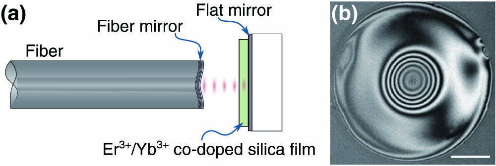 Schematic of the FFPC for lasing. (a) The FFPC is formed by a concave fiber mirror and a flat mirror. An Er3+/Yb3+ co-doped silica film (thickness of 35.1 μm) is set inside the cavity and bonded onto the flat mirror. (b) An interferometric image of the concave surface of the fiber mirror (with the scale bar of 30 μm), and the radius of curvature of the concave mirror is calculated as 100 μm from the concentric fringes.