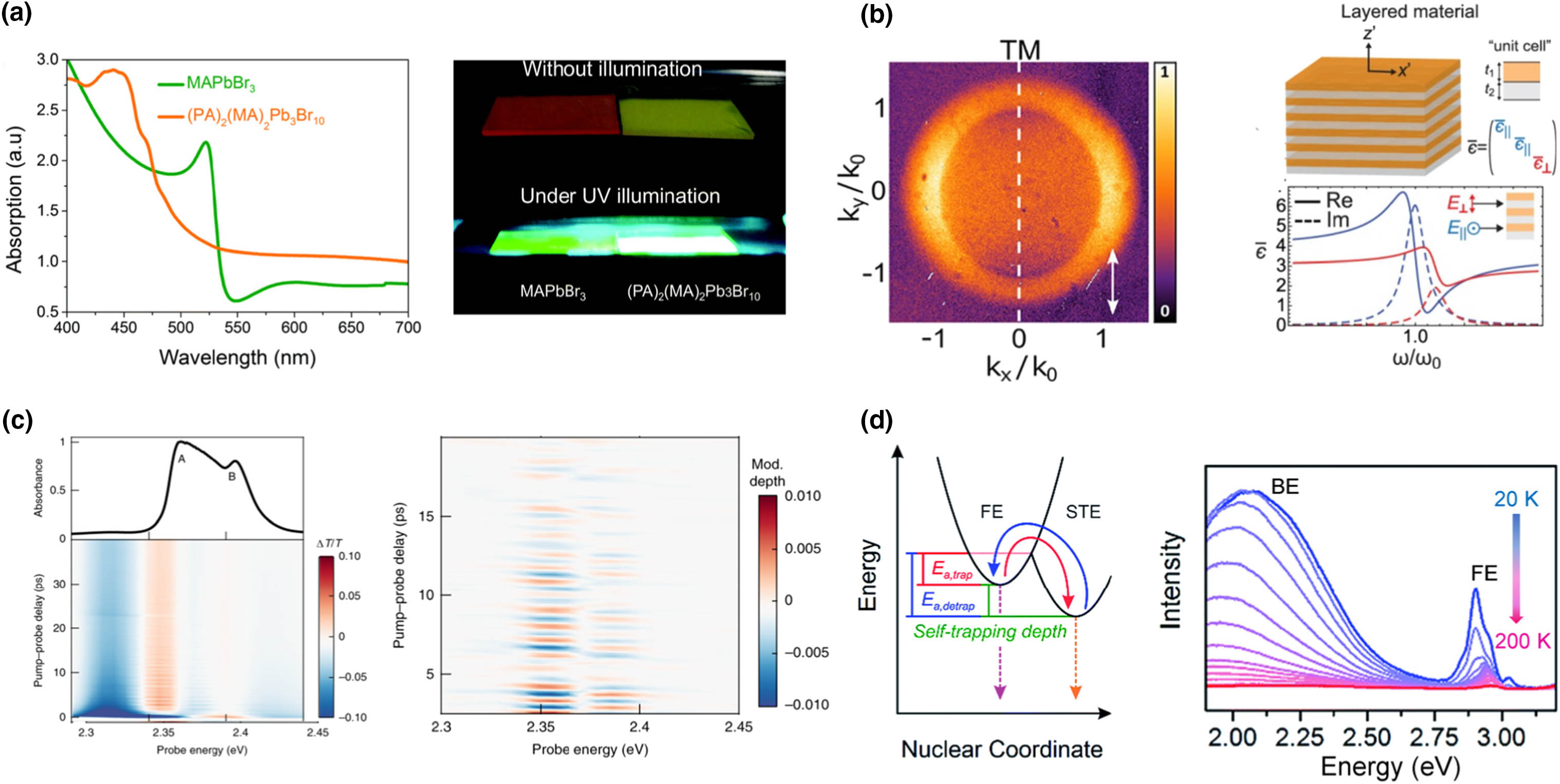 Unique excitonic behaviors of 2D perovskite. (a) Left, absorpation spectra of (PA)2(MA)2Pb3Br10 and MAPbBr3 thin films; right, optical images of the two perovskite thin films under UV illumination. Adapted from [28] with permission from Royal Society of Chemistry. (b) In-plane and out-of-plane exciton of 2D perovskite. Left, 2D Fourier image of PL in the vertical polarization (white arrow), in which out-of-plane component locates at the TIR angle (k0). Adapted with permission from [33]. Copyright 2018, American Chemical Society. Right, dielectric model of 2D perovskite indicating the in-plane and out-of-plane electric field. Adapted with permission from [34]. Copyright 2019, American Chemical Society. (c) Phonon coherence of (PEA)2PbI4. Left, absorpation and time-resolved differential transmission spectrum at 5 K; right, oscillatory components extracted from the time-resolved differential transmission spectrum indicating the coherent vibrational dynamics. Adapted with permission from [40]. Copyright 2019, Springer Nature. (d) Energy diagram showing the generation of free exciton and self-trapped exciton due to the lattice reorganization; the resulting emission spectra behave as sharp excitonic emission and broad exciton self-trapping emission at low temperature. Adapted from [43]. Published by the Royal Society of Chemistry.