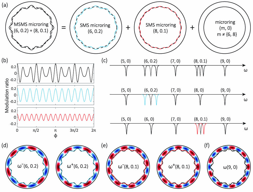 Illustration of MSMS. (a) Example of microring ring width modulation targeting m=6 and m=8 modes, with 20% and 10% of the nominal value (dashed line), respectively. This modulation selectively frequency-splits the (d) m=6 and (e) m=8 modes, while behaving as a normal microring with rotational symmetry for all other modes. We note that the m number and modulation amplitude are quite different than that implemented in real devices, for illustration purposes. (b) The modulation of the ring width for the MSMS device is plotted versus azimuthal angle in the top panel and has two frequency components in this case. The middle panel shows the modulation component targeting the m=6 mode with 20% modulation of the ring width, and the bottom panel shows the modulation component targeting the m=8 mode with 10% modulation of the ring width. (c) In the device transmission (top), this MSMS device introduces frequency splitting of the m=6 and m=8 modes, and the amplitude of the splittings linearly depends on their modulation amplitudes. This transmission trace is equivalent to the two individual SMS transmission traces (middle and bottom) together. (d) For the m=6 mode, the MSMS device is equivalent to the SMS device described by the (6, 0.2) modulated boundary (blue). Degenerate CW and CCW modes are renormalized to two standing-wave modes. The standing-wave mode that always experiences a wider ring width has a larger resonance wavelength, and therefore a redshifted resonance frequency. The other mode always experiences a narrower ring width and is blueshifted. (e) For the m=8 mode, the MSMS device behaves as the SMS device described by the (8, 0.1) boundary (red). (f) For other modes (m≠{6,8}), for example, m=9, the MSMS device does not induce coherent scattering, and therefore behaves similarly to a rotationally symmetric ring (dashed line).