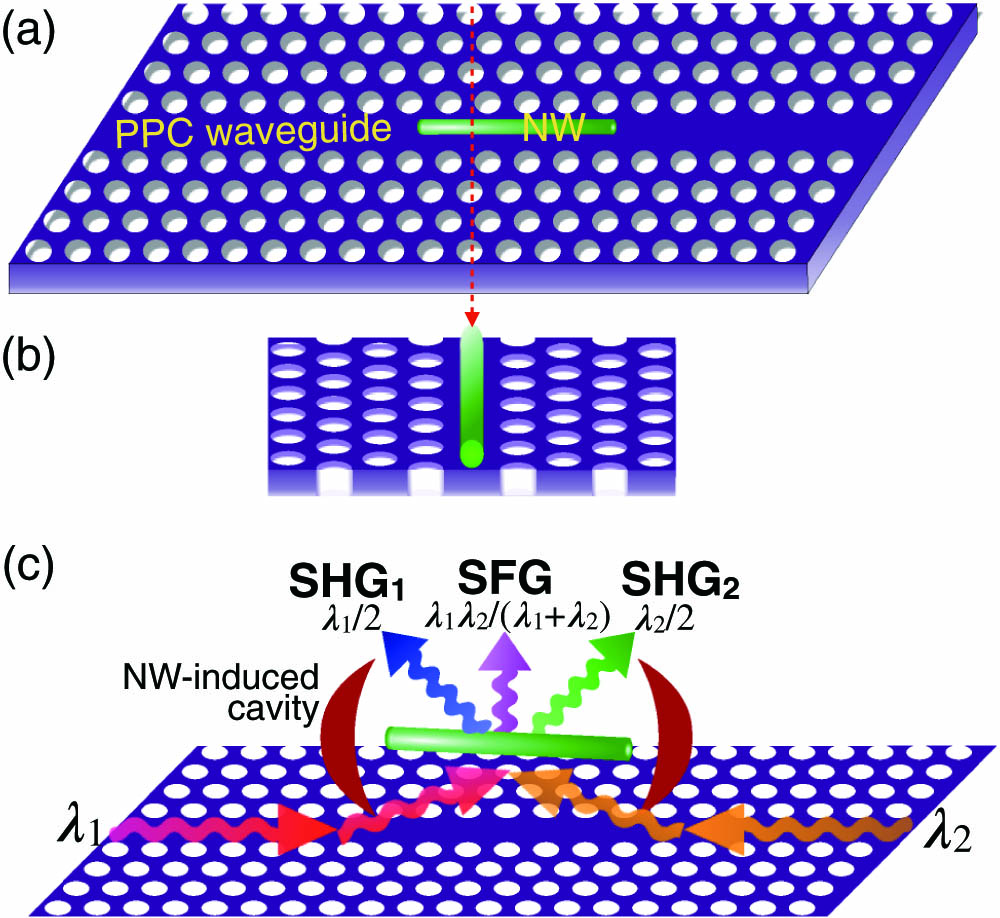 (a), (b) Schematic representations of the hybrid structure of an NW and a PPC waveguide; (c) operation principle of the optical frequency upconversion processes (SHG and SFG) with the enhanced light–NW coupling by the NW-induced cavity.
