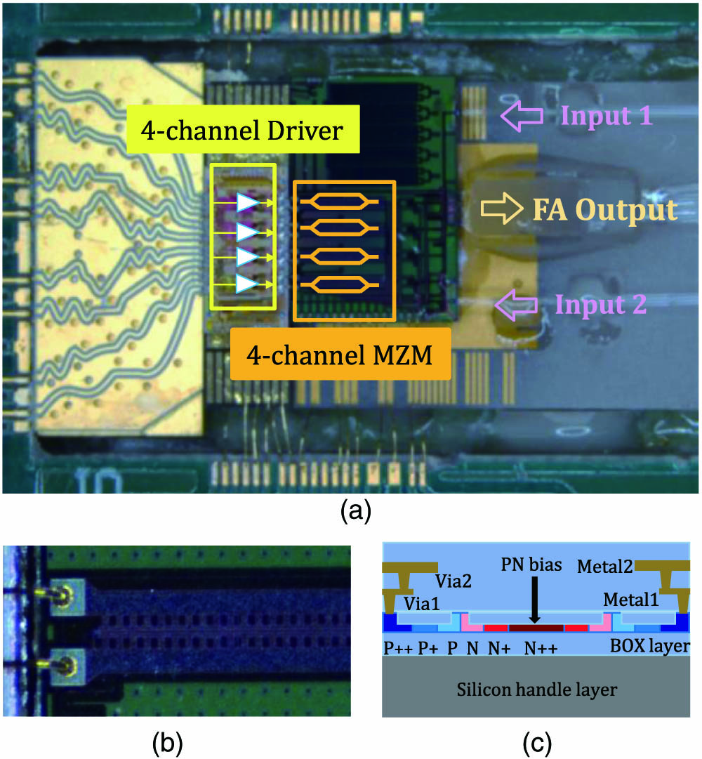 (a) Micrograph of the chip-on-board SiP transmitter that co-packaged a four-channel MZM chip and a four-channel driver by wire bonding on the evaluation board, (b) micrograph of the travelling wave electrode, and (c) schematic diagram of the active waveguide’s cross section.