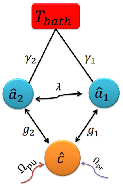 Schematic of the model and relevant parameters.