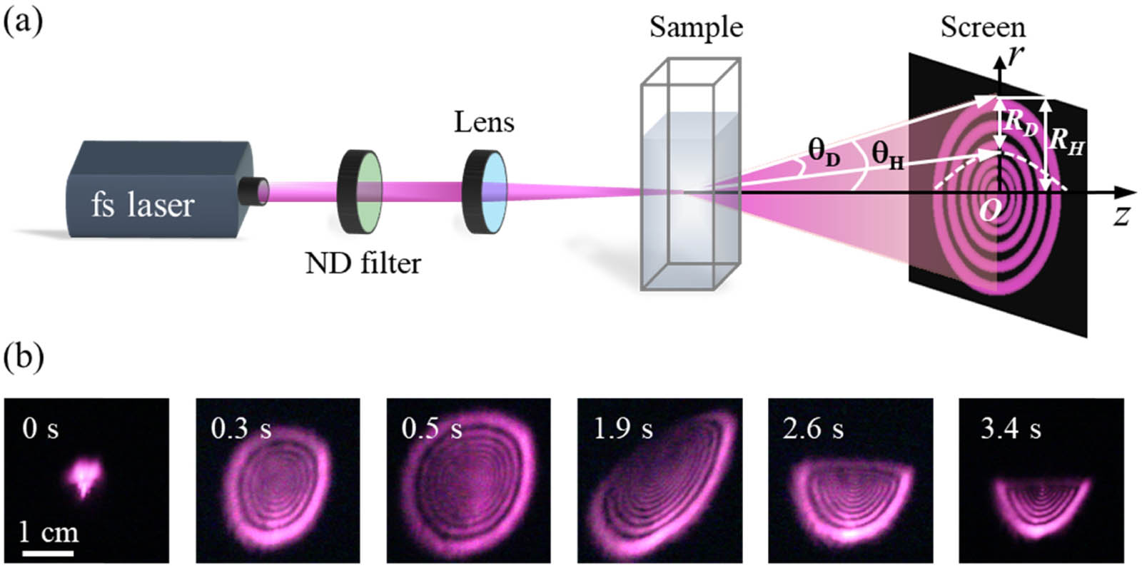 (a) Schematic of the experimental setup and (b) evolution of the concentric ring-shaped diffraction patterns excited by a fs pulse laser at λ=800 nm. The time capturing the diffraction patterns is inserted at the upper-left corner of each image.
