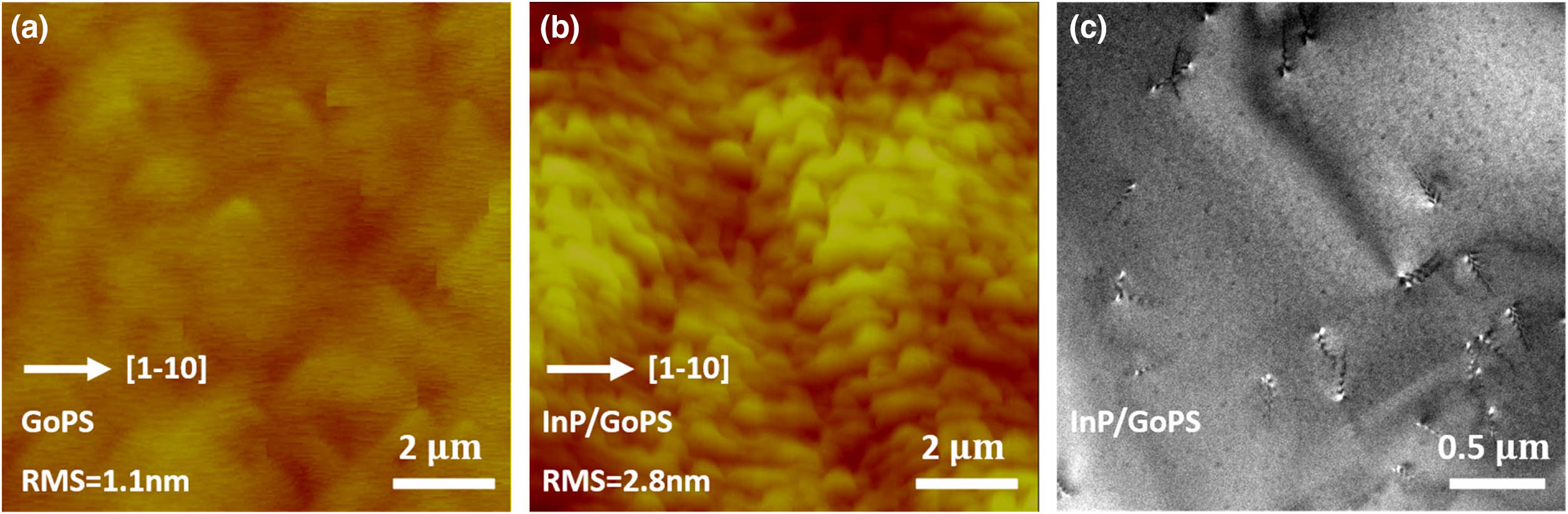 (a) AFM image of 1.1 μm GaAs on planar silicon after TCA, and RMS of the 10 μm×10 μm area is 1.1 nm. (b) AFM image of 3.1 μm InP on GoPS, and RMS of the 10 μm×10 μm area is 2.8 nm. (c) Representative plan view TEM image of InP on GoPS.