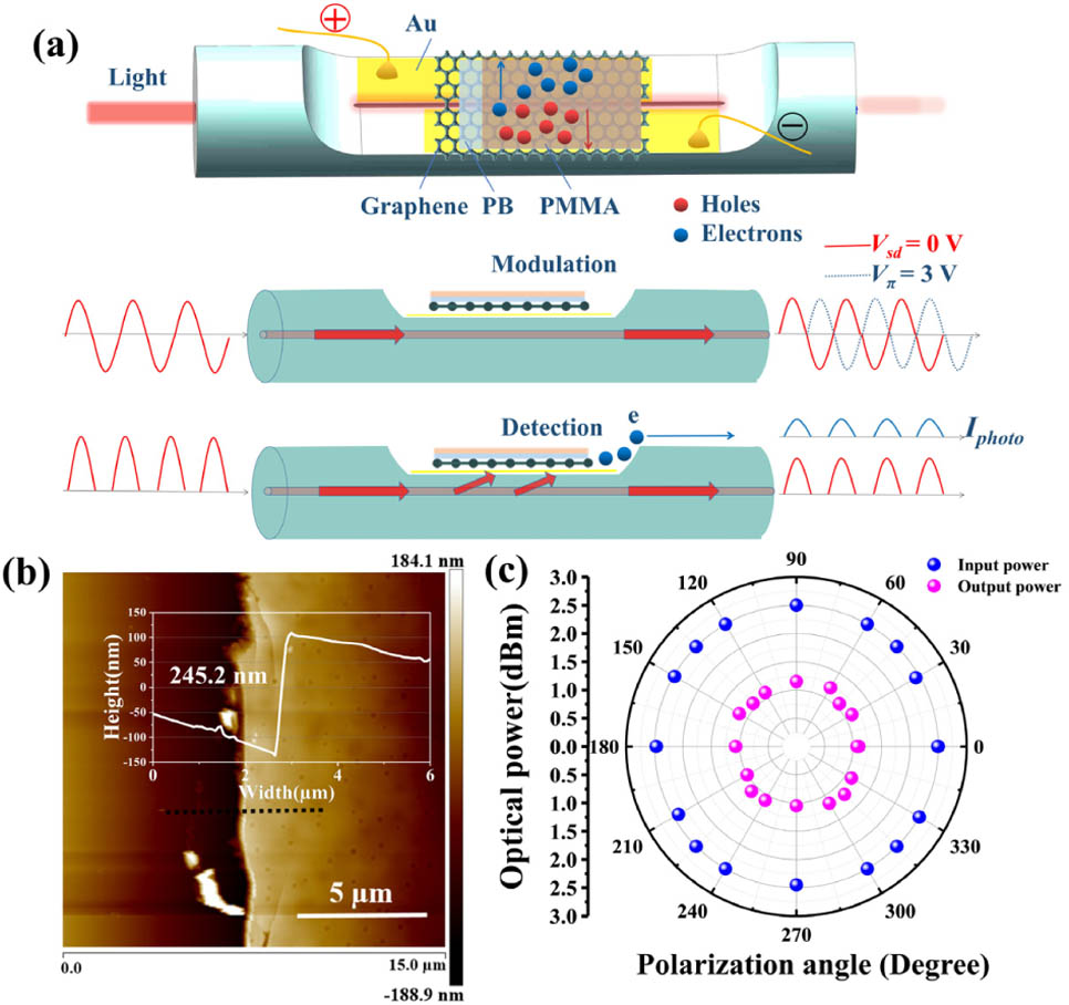 (a) Schematic of optic-phase modulation and photoelectric detection by the AFGD, where two microstrip electrodes are fabricated on an SPF deposited with a hybrid graphene/PB/PMMA film; (b) atomic force microscopy (AFM) image of hybrid graphene/PB/PMMA film. The inset shows the cross sections of graphene/PB/PMMA film, indicating the thickness of the film being 245.2 nm. (c) The input (pink spheres) and output (blue spheres) optical power of AFGD changing with the incident polarization angle.