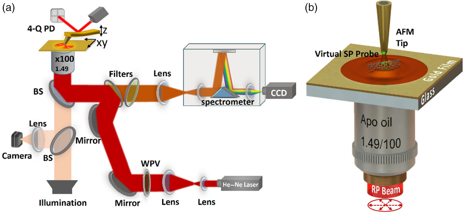 (a) Schematic of the TERS system. 4-Q PD, 4-quadrant photodiode; WPV, zero-order vortex half-wave retarder plate; BS, beam splitter. (b) Schematic of the virtual SP probe-excited TERS on a gold film. RP beam indicates the radially polarized incident beam.