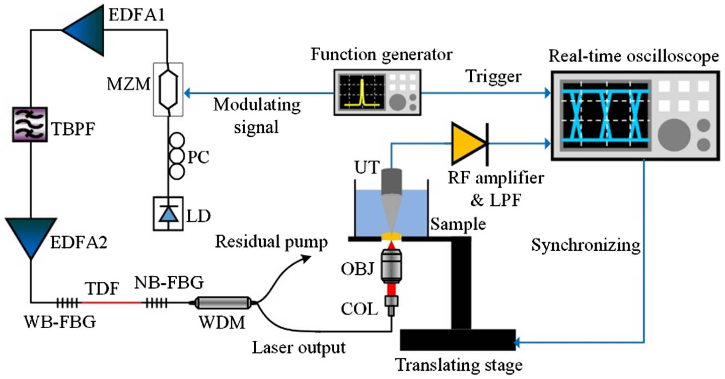 Experimental setup of the all-fiber gain-switched TDFL and the associated PAM system. COL, collimator.