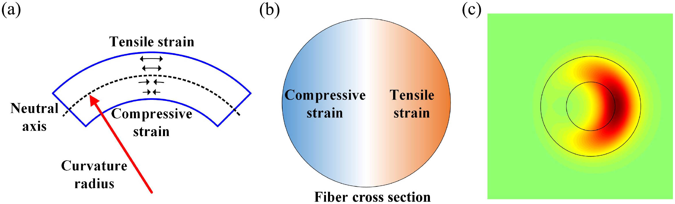 (a) Position-dependent strain induced by fiber bending; (b) strain distribution on the fiber cross section; (c) simulated optical mode field of the bent RCF.