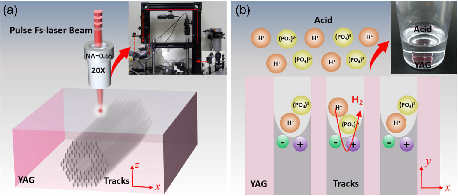 Schematic processes of (a) fs-laser inscription and (b) H3PO4 acid etching for the microstructured optical waveguide in YAG crystal. The insets are the images of the two processes.