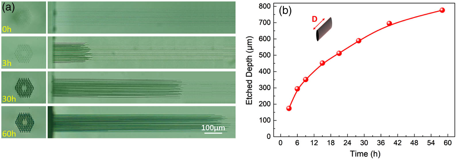 (a) Microscopic images of the end-faces and top-view patterns at the etching time of 0, 3, 30, and 60 h and (b) the etched dimensions of microchannel depth as a function of the etching time.