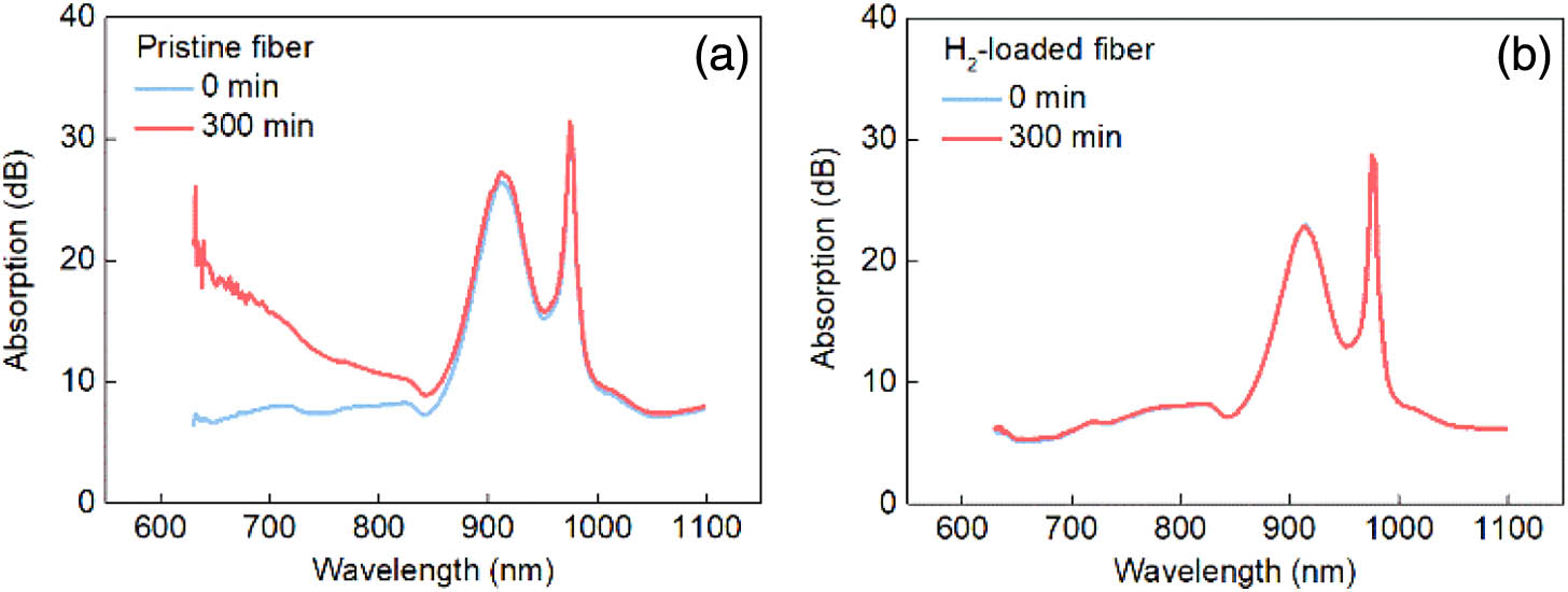 Absorption spectra before and after 300 min pumping of (a) the pristine N1 fiber and (b) the H2-loaded N1 fiber.