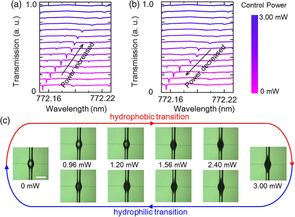 Transmission evolution of the microbubble with the PNIPA hydrogel when the control power of the irradiation light first (a) increases from 0 to 3.00 mW, and then (b) decreases from 3.00 to 0 mW; (c) CCD images of a cycle of phase-transition process of the PNIPA hydrogel. The microbubble changes from transparent hydrophilic state to opaque hydrophobic state due to the increased scattering. Inset, the scale bar is 125 μm.