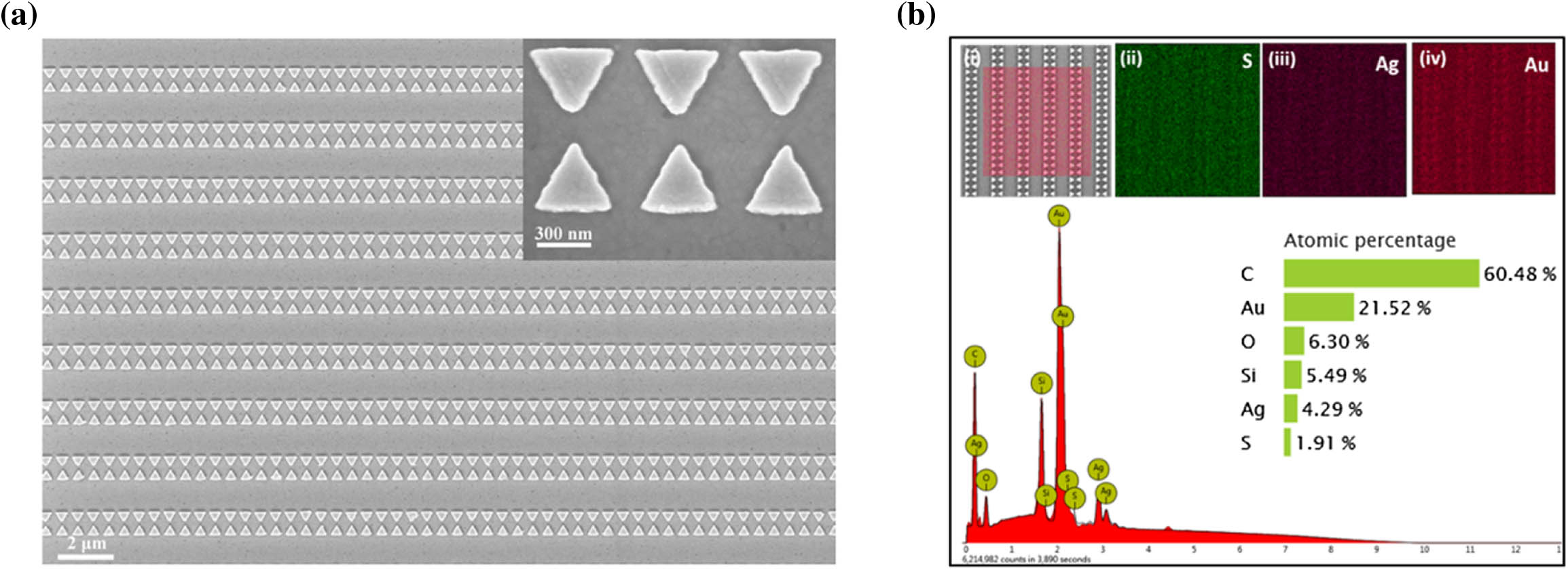 Characterization of Au BNA arrays. (a) SEM images of the BNA arrays (scale bar 2 μm). Inset shows an enlarged view of three pairs of BNA (scale bar 300 nm). (b) EDS analysis of Ag2S QDs on BNA arrays. On the top, from left to right: (i) scanned region for EDS, and elemental mapping of (ii) S, (iii) Ag, and (iv) Au. Inset shows the elemental composition of different elements in BNA arrays/Ag2S-QDs substrate.