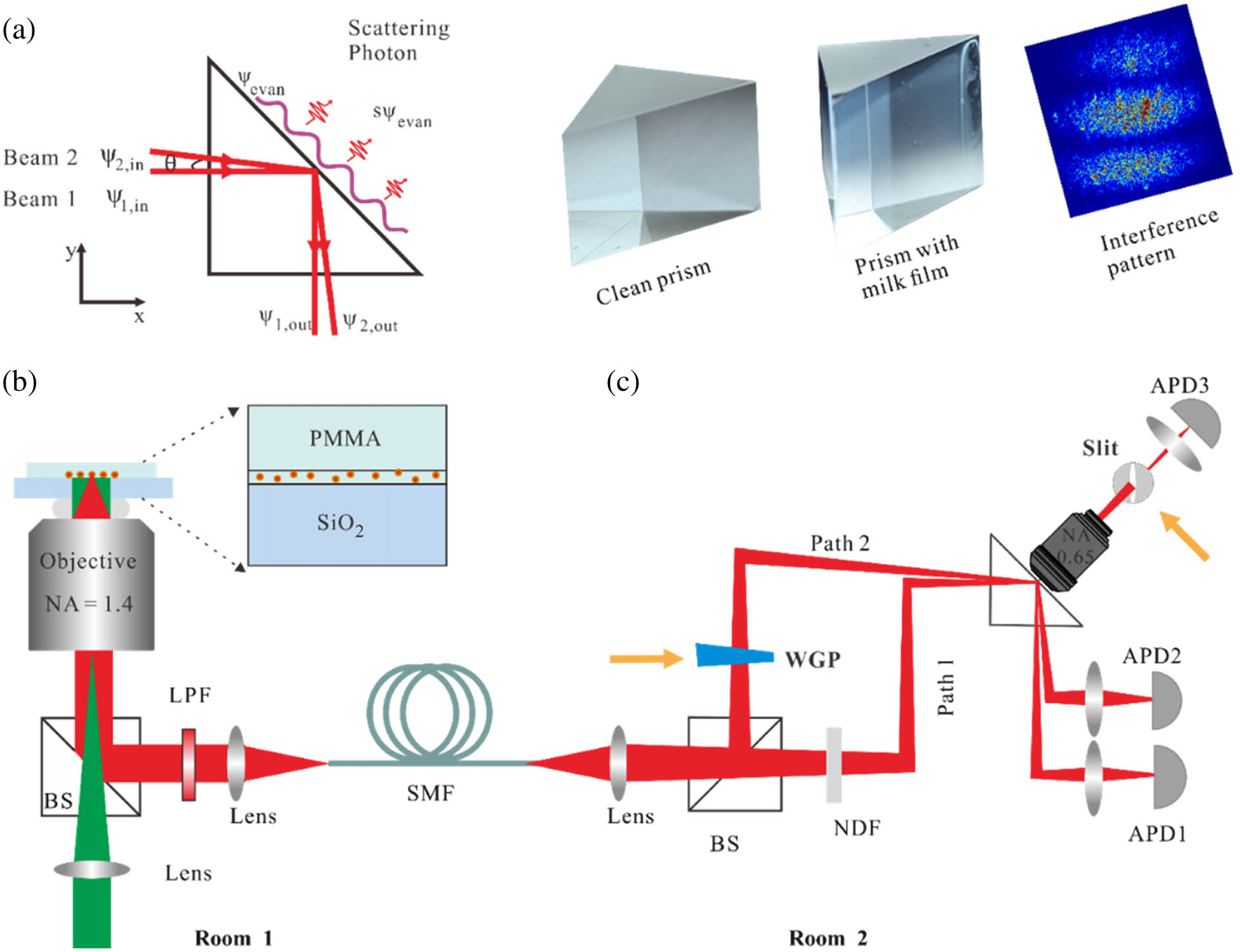 Schematics of the experimental setup of the WM-MZI. (a) Single-photon interference on a prism surface coated with a weakly scattering milk film as an interference screen. The interference pattern on the right is formed by the incidence of a laser beam into the WM-MZI setup. (b) A single-mode fiber (SMF) output single-photon source apparatus. Inset shows the sample structure where CdSe/CdS coreshell quantum dots (QDs) in PMMA serve as single-photon emitters. LPF, long-pass filter. (c) WM-MZI setup. The avalanche photon detectors APD1 and APD2 record two path way information, respectively. A wedge glass plate (WGP) is used to tune the optical length of path 1. APD3 with a position-tunable slit is for observing the interference pattern.