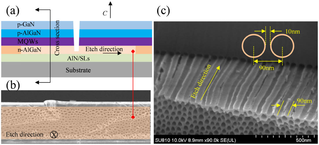 (a) Epitaxial structure of the scribed via holes and porous layer. (b) Cross-sectional view of the nanoporous n-AlGaN layer etched at 40 V. (c) SEM image of the cleaved region in the porous layer showing the subwavelength grating structure at higher magnification.