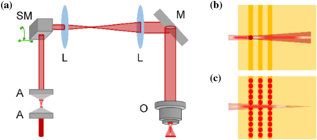 Illustration of the optical setup implemented in the simulations. (a) Optical setup for Bessel beam generation: A, axicon; SM, scanning mirror; L, lens; M, mirror; O, objective. (b) and (c) Simulation area and setup for single bead and multibeads, respectively.